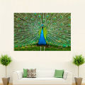 Belle Peacock Image Painting on Canvas